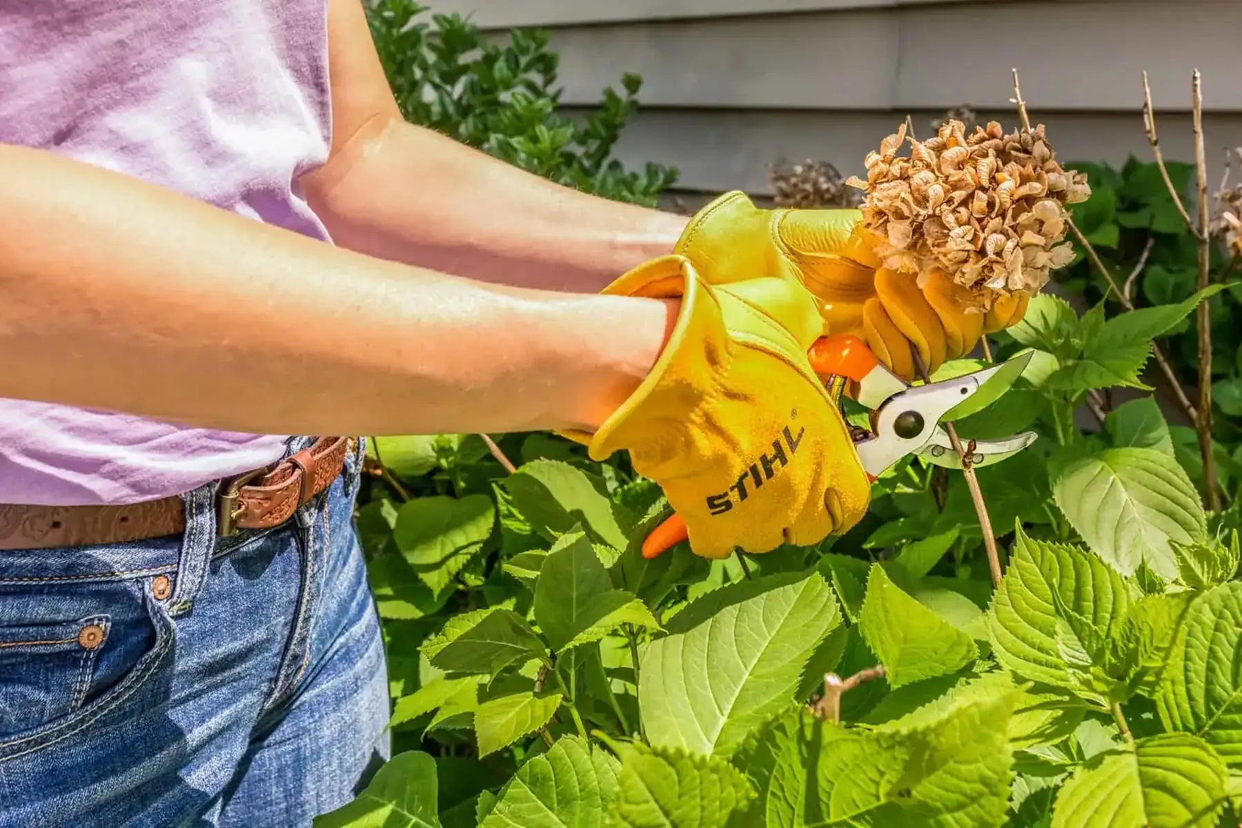 Gardening Tools