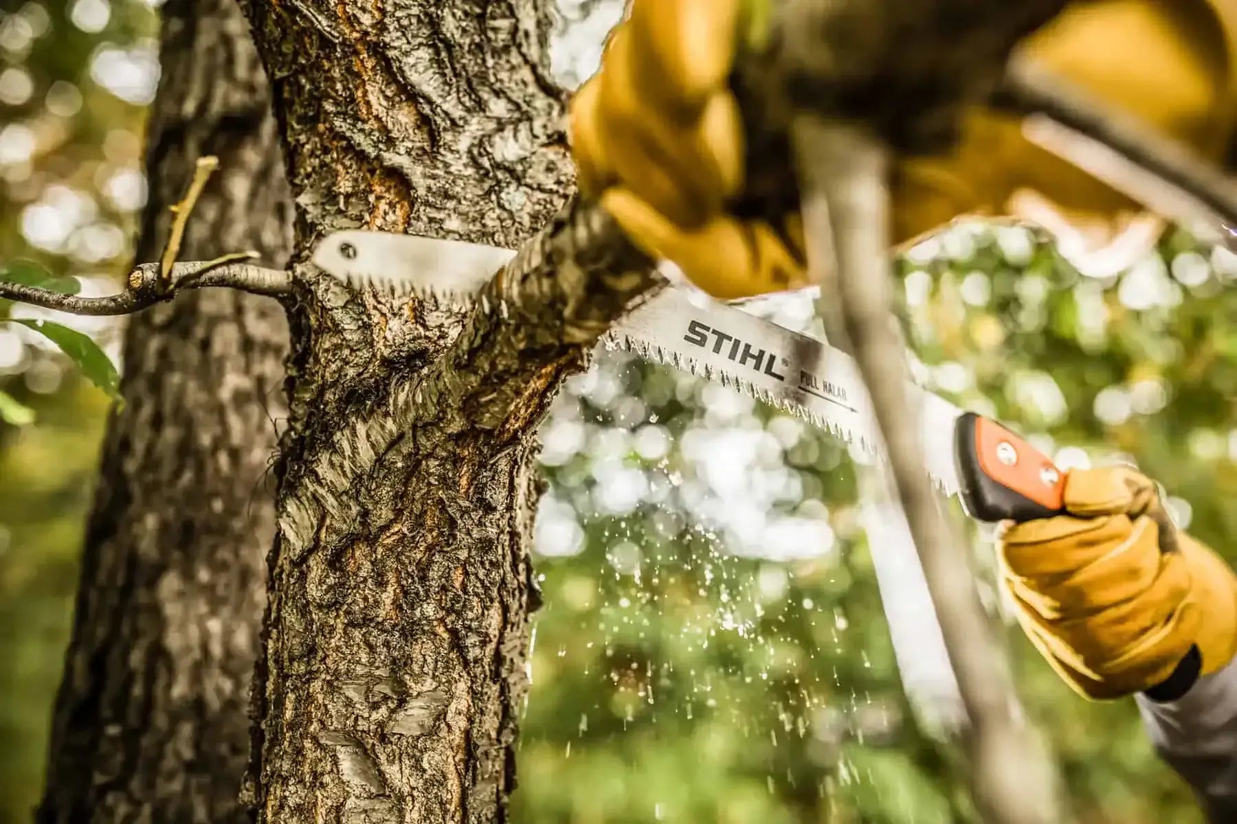 Pruning Saws