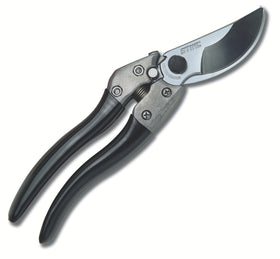 PP 80