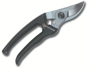 PP 30
