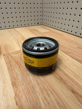 Briggs & Stratton 842921 Oil Filter