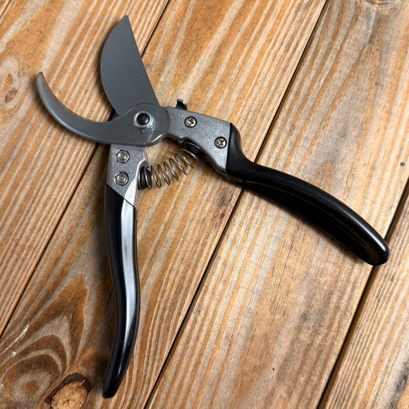 PP 80