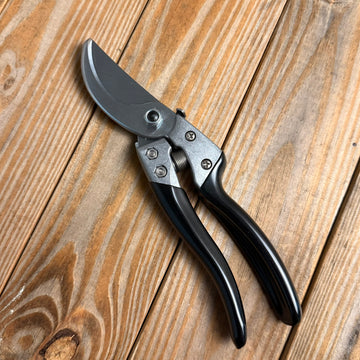PP 80 - 0